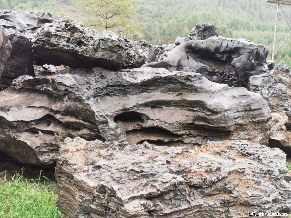 风景石、假山石大量有货，有需要的欢迎联系 - 新手上路 - 河池生活社区 - 河池28生活网 hc.28life.net