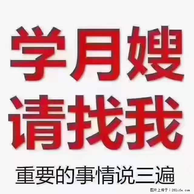 为什么要学习月嫂，育婴师？ - 其他广告 - 广告专区 - 河池分类信息 - 河池28生活网 hc.28life.net
