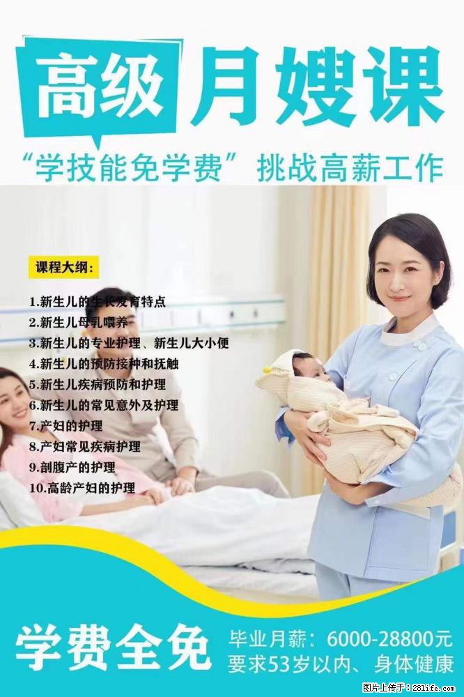 为什么要学习月嫂，育婴师？ - 其他广告 - 广告专区 - 河池分类信息 - 河池28生活网 hc.28life.net