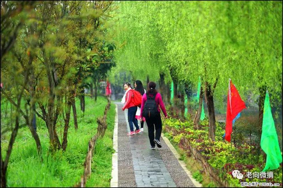 【春天，广西桂林灌阳县向您发出邀请！】江口老街又逢春 - 游山玩水 - 河池生活社区 - 河池28生活网 hc.28life.net