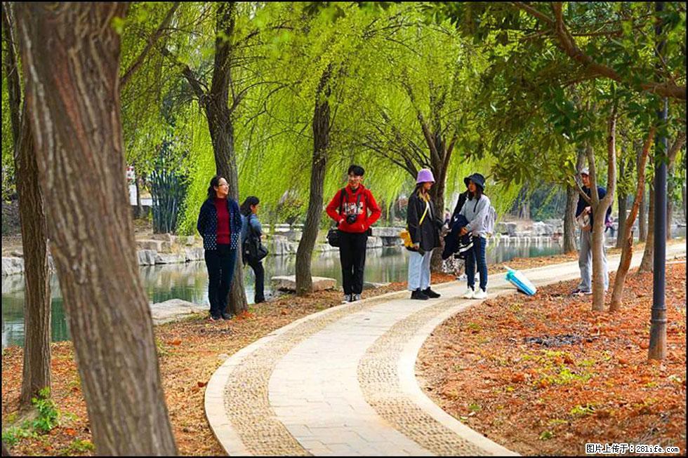【春天，广西桂林灌阳县向您发出邀请！】江口老街又逢春 - 游山玩水 - 河池生活社区 - 河池28生活网 hc.28life.net
