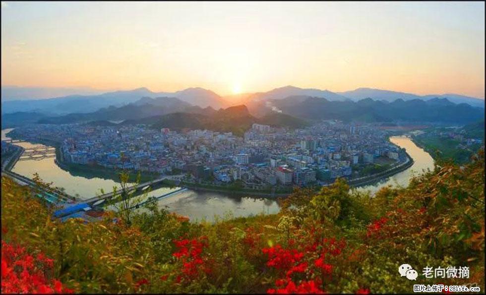 【春天,广西桂林灌阳县向您发出邀请!】登麒麟山,相约映山红 - 游山玩水 - 河池生活社区 - 河池28生活网 hc.28life.net