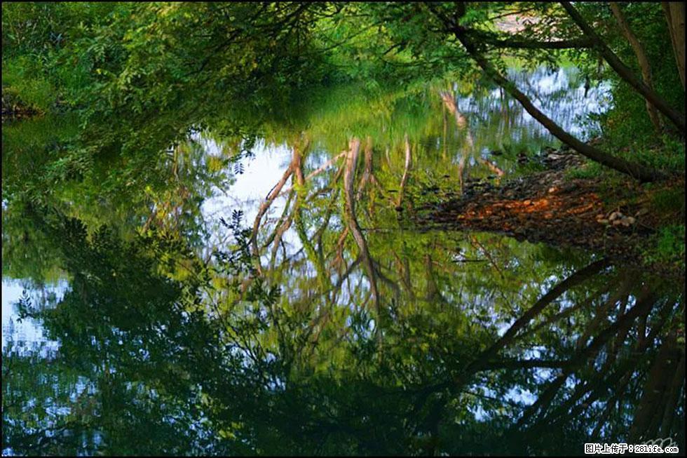【春天，广西桂林灌阳县向您发出邀请！】熊家寨湿地公园 - 游山玩水 - 河池生活社区 - 河池28生活网 hc.28life.net