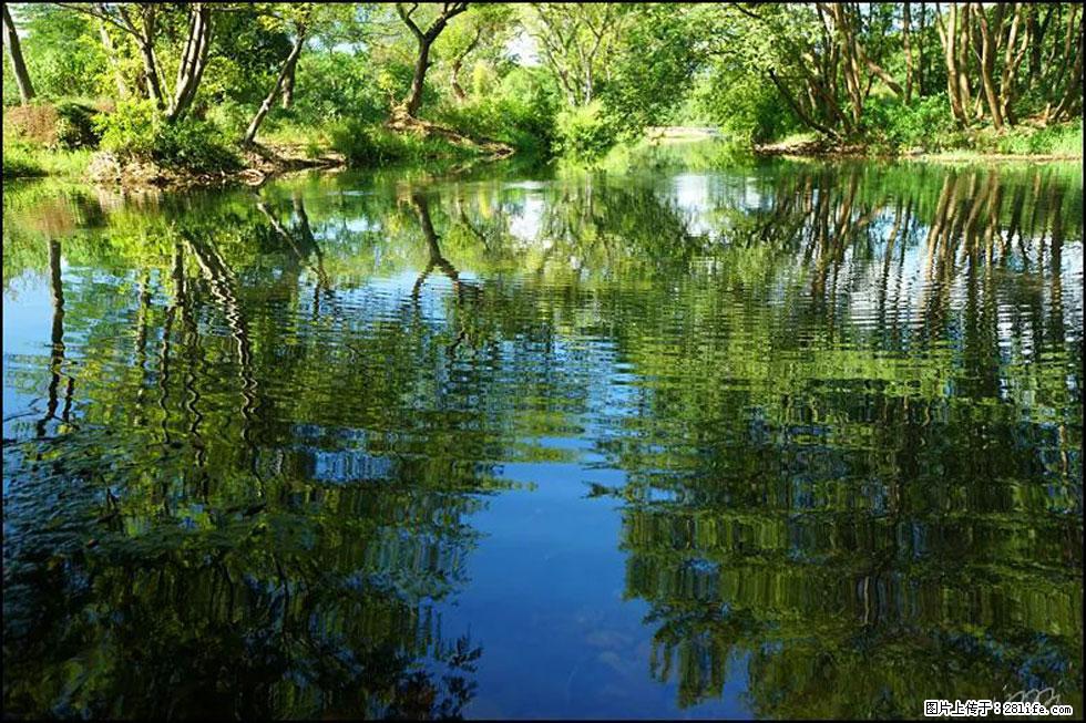 【春天，广西桂林灌阳县向您发出邀请！】熊家寨湿地公园 - 游山玩水 - 河池生活社区 - 河池28生活网 hc.28life.net