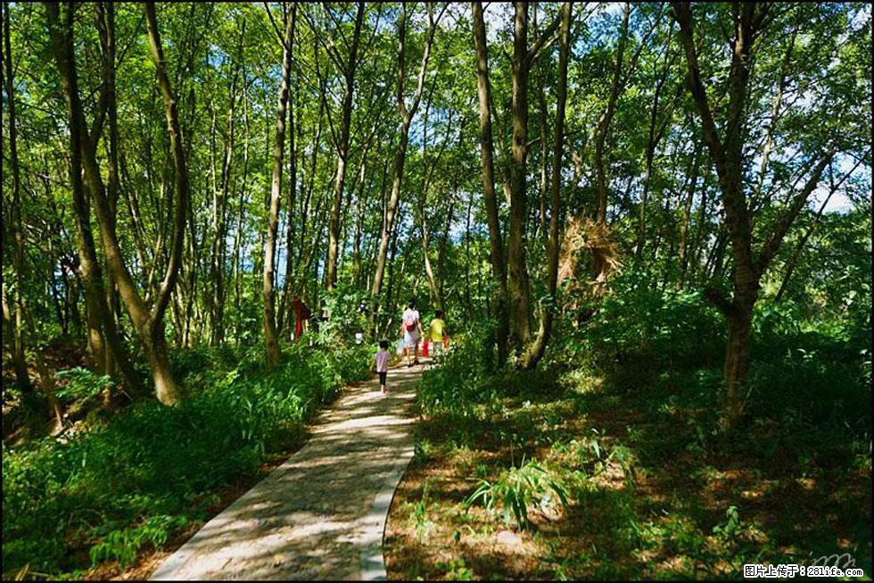 【春天，广西桂林灌阳县向您发出邀请！】熊家寨湿地公园 - 游山玩水 - 河池生活社区 - 河池28生活网 hc.28life.net