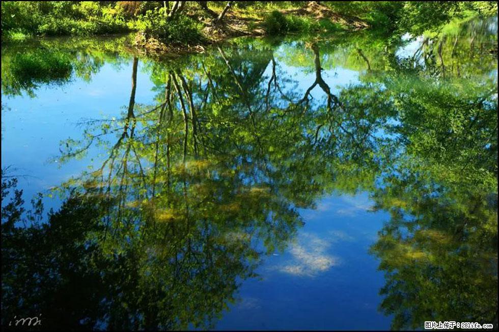 【春天，广西桂林灌阳县向您发出邀请！】熊家寨湿地公园 - 游山玩水 - 河池生活社区 - 河池28生活网 hc.28life.net