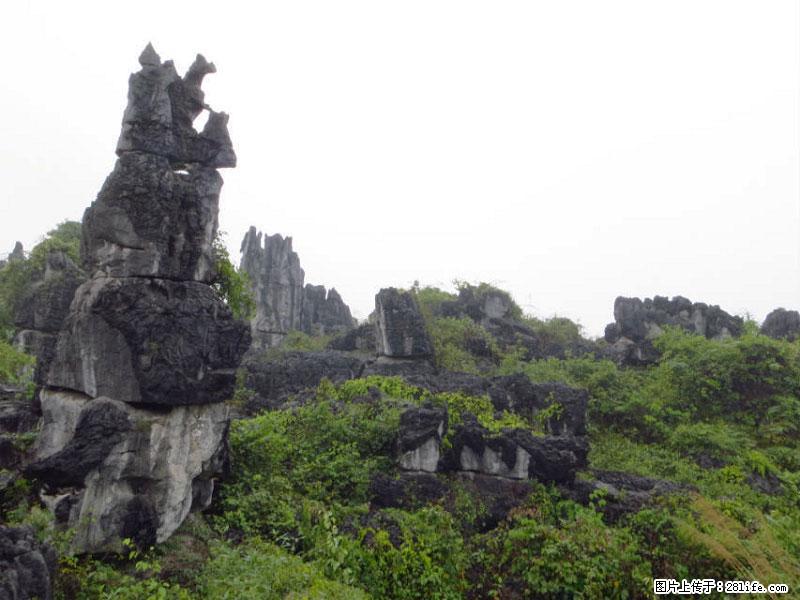 桂林旅游名城景点:灌阳文市石林 - 游山玩水 - 河池生活社区 - 河池28生活网 hc.28life.net