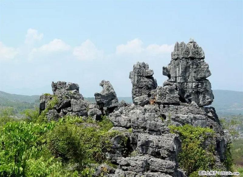 桂林旅游名城景点:灌阳文市石林 - 游山玩水 - 河池生活社区 - 河池28生活网 hc.28life.net