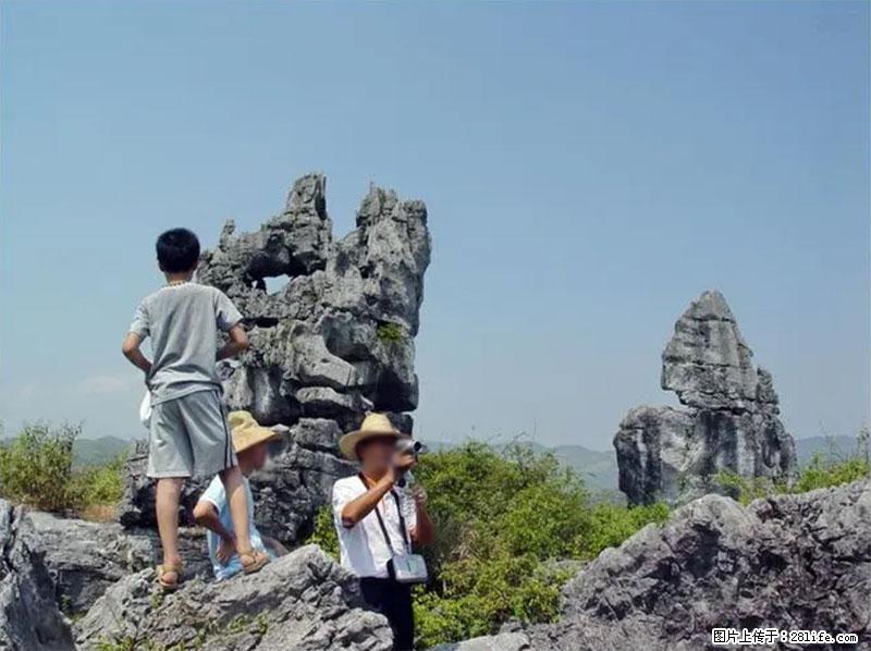 桂林旅游名城景点:灌阳文市石林 - 游山玩水 - 河池生活社区 - 河池28生活网 hc.28life.net