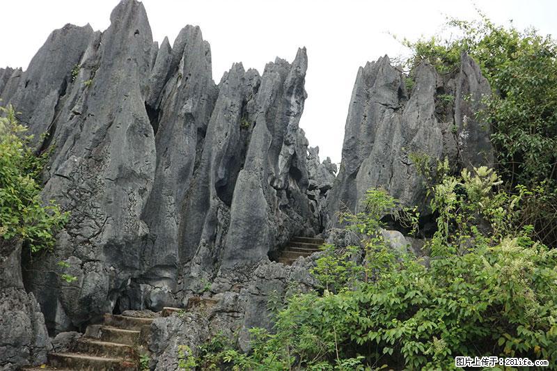桂林旅游名城景点:灌阳文市石林 - 游山玩水 - 河池生活社区 - 河池28生活网 hc.28life.net