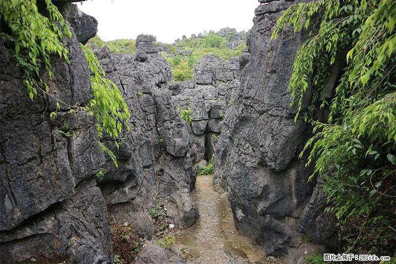 桂林旅游名城景点:灌阳文市石林 - 游山玩水 - 河池生活社区 - 河池28生活网 hc.28life.net
