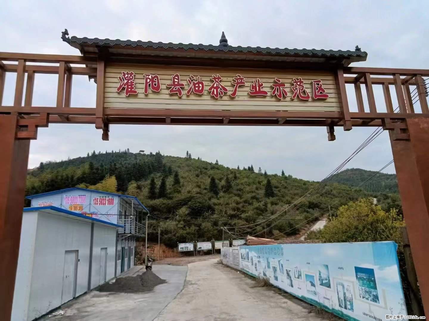 【灌阳县油茶产业示范区】一个有着充实的精神生活的人，对待身外之物自会有一种淡泊的态度 - 土特产 - 饮食特产 - 河池分类信息 - 河池28生活网 hc.28life.net