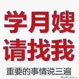 为什么要学习月嫂，育婴师？ - 河池28生活网 hc.28life.net