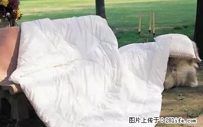 被子有异味？只要这样做，比晒太阳还强100倍！ - 家居生活 - 河池生活社区 - 河池28生活网 hc.28life.net
