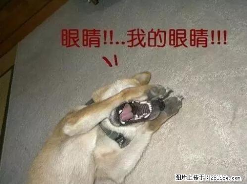 笑癫了!一女的怀孕三年未生,他终于忍不住了... - 娱乐八卦 - 河池生活社区 - 河池28生活网 hc.28life.net