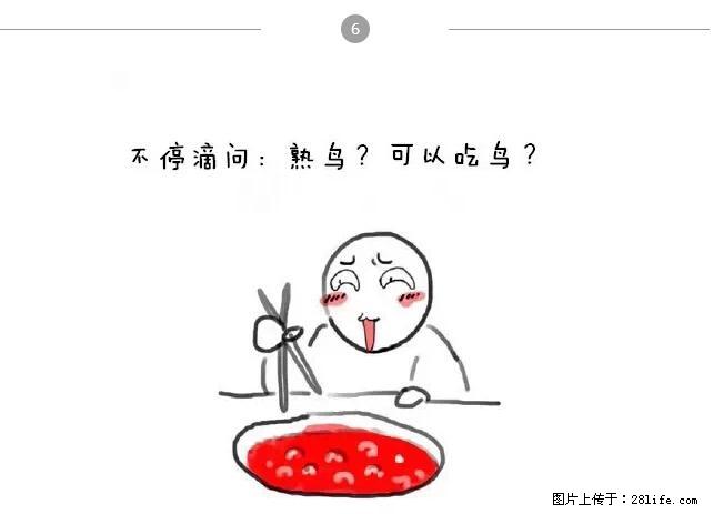 千万不要和这9种哈卵一起吃火锅！ - 美食天地 - 河池生活社区 - 河池28生活网 hc.28life.net