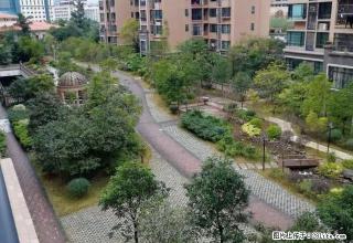 ~~澳门城三房出租，随时看房，家具家电齐全，看房提前联系~~ - 河池28生活网 hc.28life.net