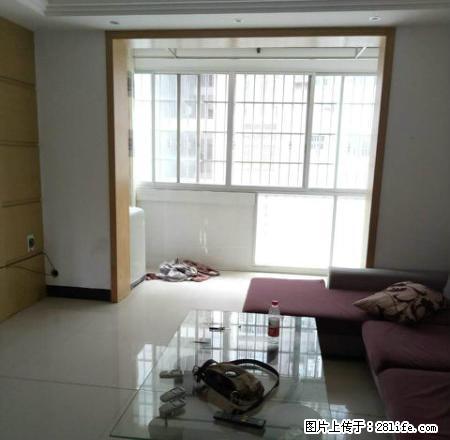 一小附近3房出租。家电家具齐全 - 房屋出租 - 房屋租售 - 河池分类信息 - 河池28生活网 hc.28life.net