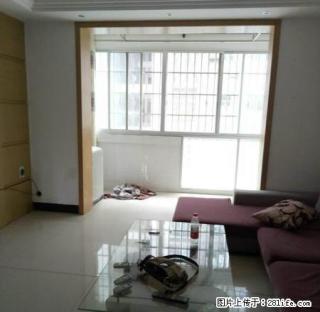 一小附近3房出租。家电家具齐全 - 河池28生活网 hc.28life.net