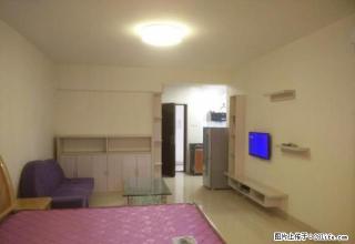 一号公馆一房一厅一卫家具齐全拎包入住 - 河池28生活网 hc.28life.net
