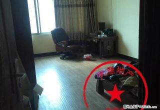 自建整栋出租，门口大把地方可以停放小车 - 河池28生活网 hc.28life.net