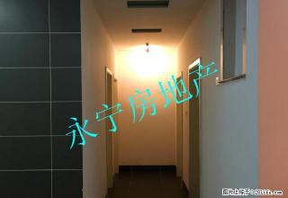 九龙大道大三房！不带家电只要1200/月！拎包入住！ - 河池28生活网 hc.28life.net