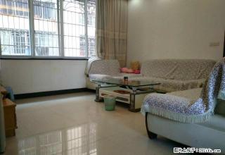 城西六十米大道 【拎包入住】 免物业费 - 河池28生活网 hc.28life.net