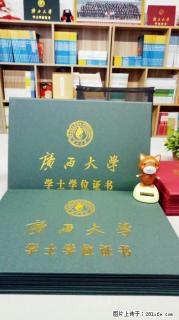 成人高考:高升专/专升本/高起本报名需要什么条件？ - 河池28生活网 hc.28life.net