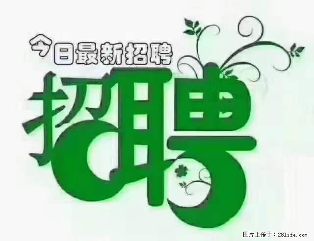 【招聘】产康师 - 职场交流 - 河池生活社区 - 河池28生活网 hc.28life.net