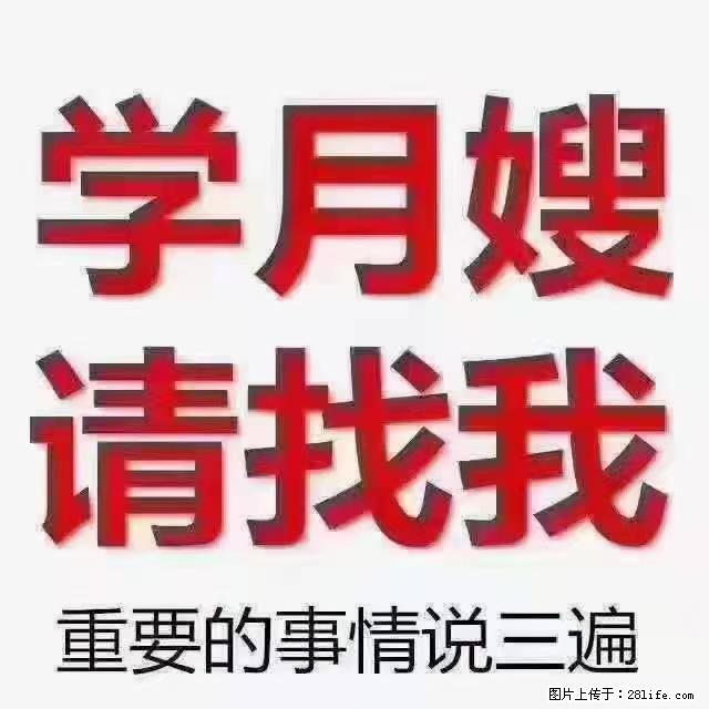 【招聘】月嫂，上海徐汇区 - 职场交流 - 河池生活社区 - 河池28生活网 hc.28life.net