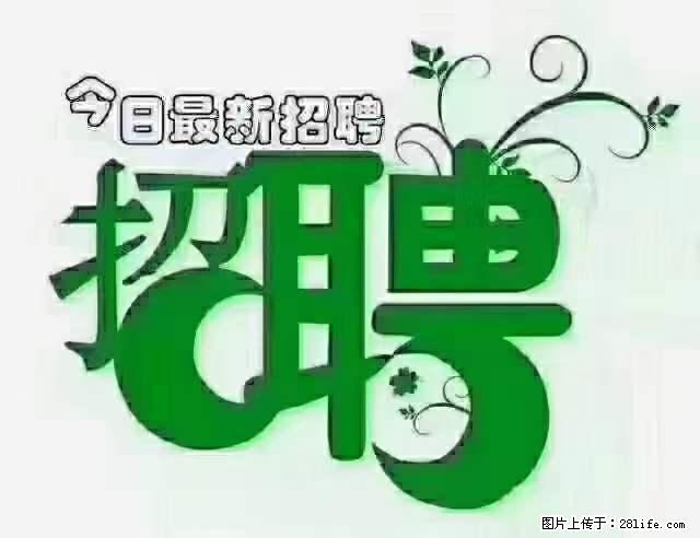上海青浦区招仓管 - 职场交流 - 河池生活社区 - 河池28生活网 hc.28life.net