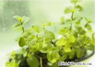 晕车、脚气、牙齿变黄、皮肤粗糙？学会这些三分钟搞定！ - 河池生活资讯 - 河池28生活网 hc.28life.net