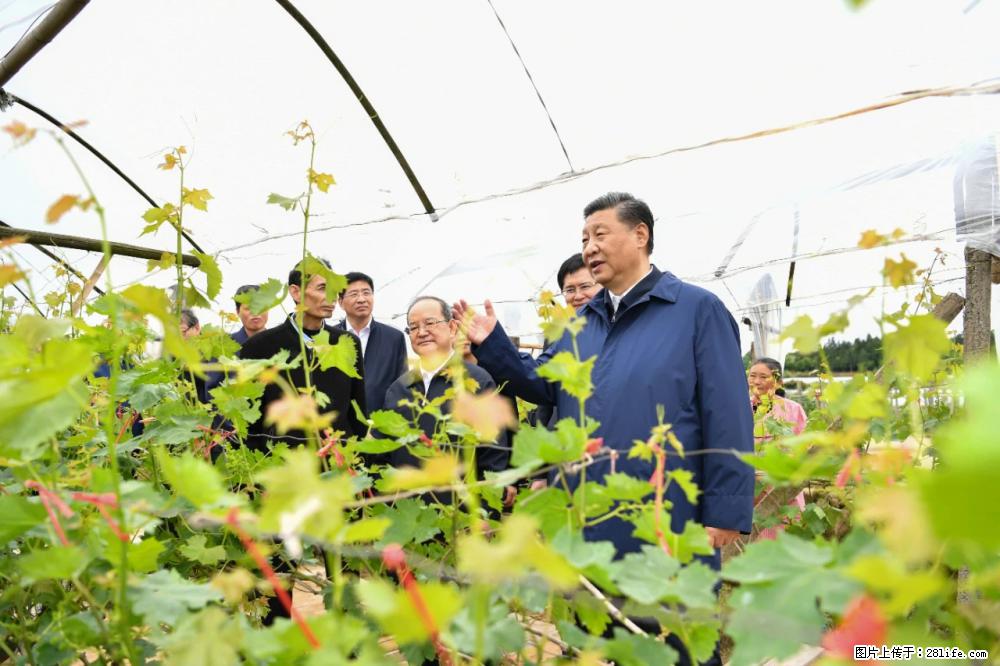 习近平赴广西考察调研 - 河池生活资讯 - 河池28生活网 hc.28life.net