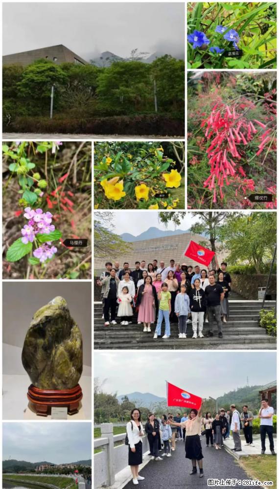 “粤灌文化 美好生活”油茶文化主题活动在广东深圳成功举办 - 河池生活资讯 - 河池28生活网 hc.28life.net