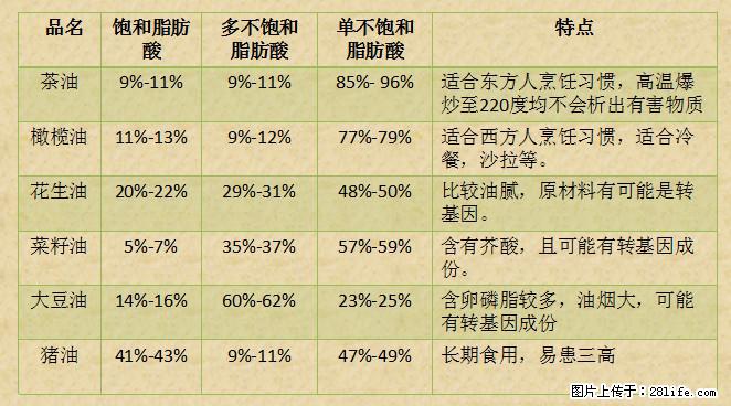 揭秘茶油的5大核心营养成分！被称为人体健康的“守护盾”！ - 河池生活资讯 - 河池28生活网 hc.28life.net