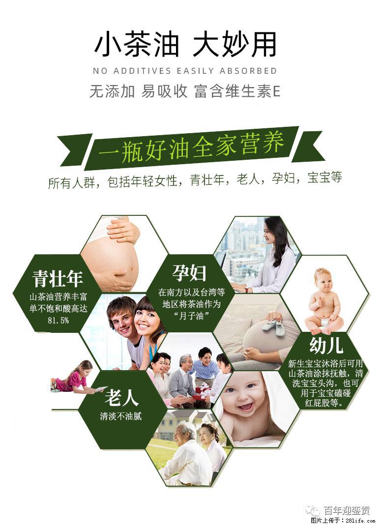 世界没有真相，只有认知，最好的食用油是中国的山茶油！ - 河池生活资讯 - 河池28生活网 hc.28life.net