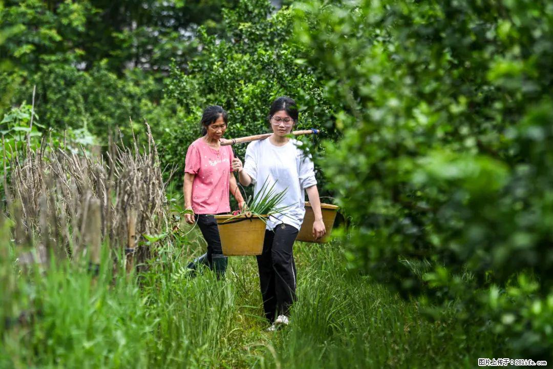 全网追的“扁担女孩”，找了一份暑假工，时薪12元 - 河池生活资讯 - 河池28生活网 hc.28life.net