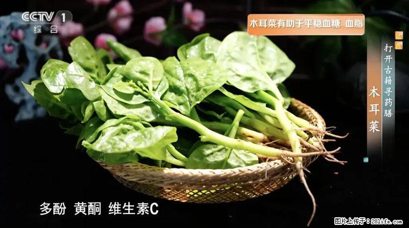 比牛奶补钙还厉害！凉血解毒、稳血糖...这菜冬天必吃，很多人却当草 - 河池生活资讯 - 河池28生活网 hc.28life.net