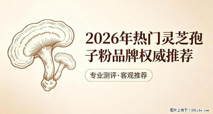 灵芝孢子粉含量越高越有效？2026 年七款热门品牌深度实测，肠胃敏感者避坑指南 - 河池生活资讯 - 河池28生活网 hc.28life.net
